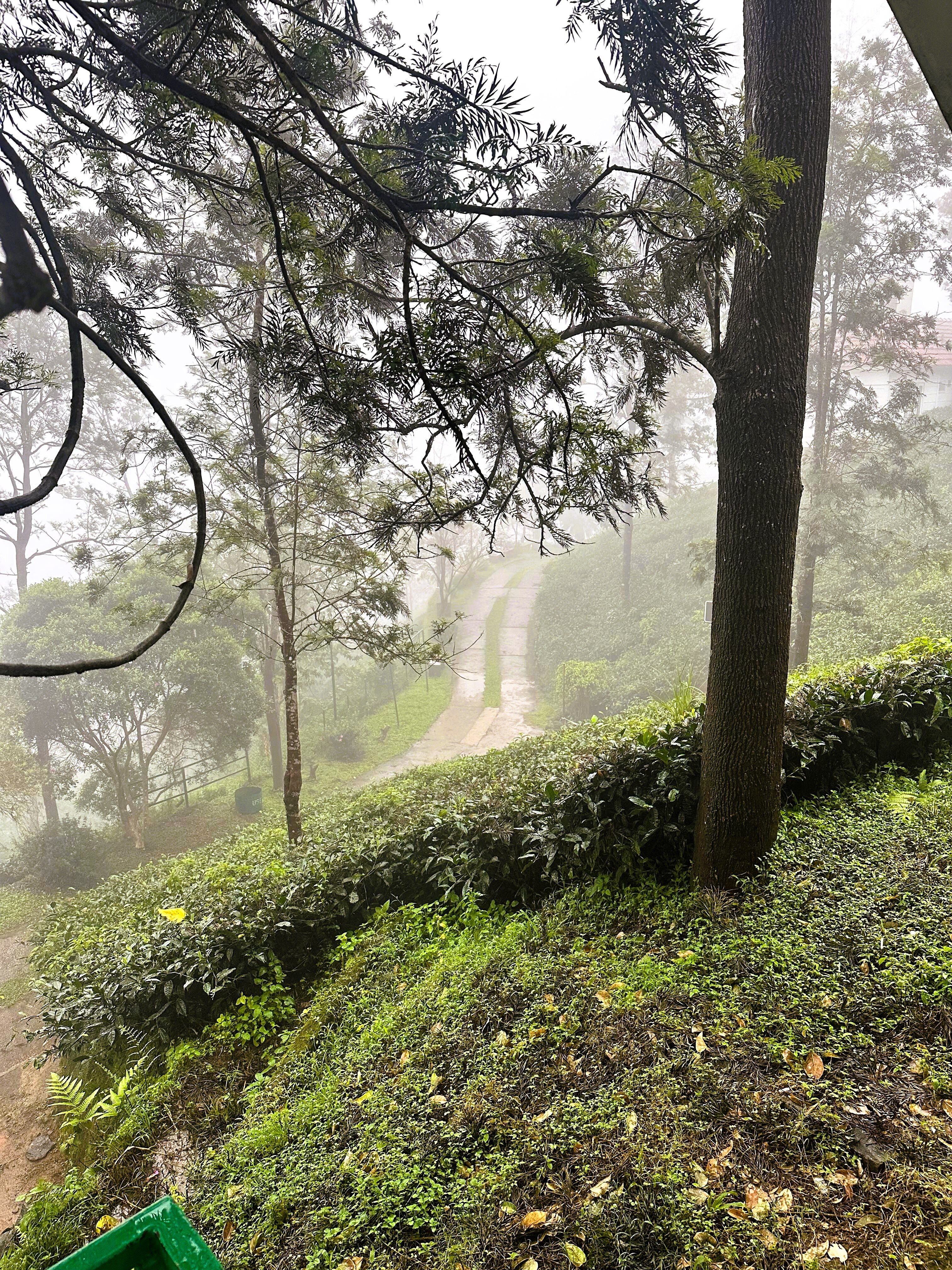 Falcon Crest-酒店景观