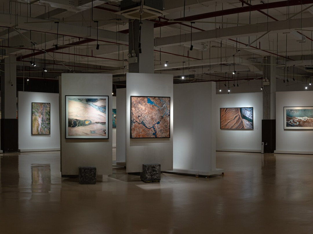 Lotus Gallery-胡志明市必去景点