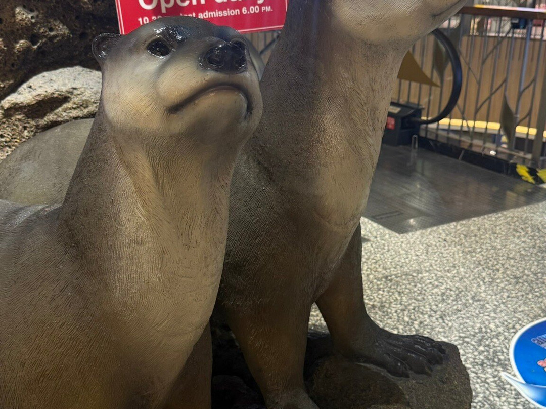 Aquaria Phuket Thailand-普吉镇必去景点