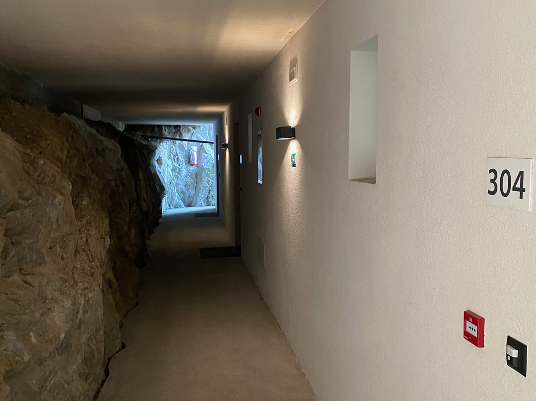 Hotel Villa Tivoli主图