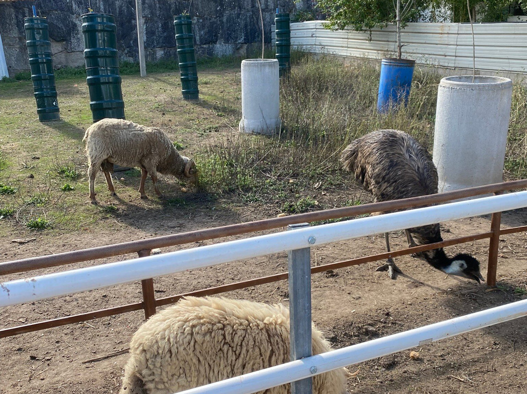 Quinta Pedagógica Quinta das Manas-吉马良斯必去景点