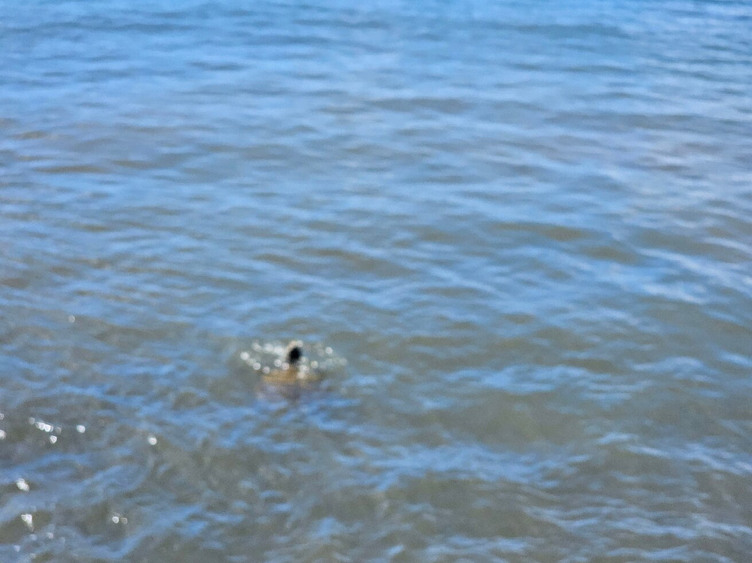 哈雷瓦海滩公园-哈雷瓦必去景点