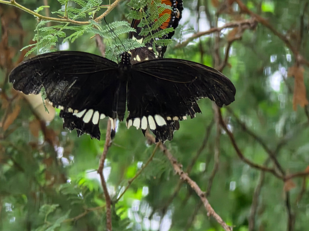 常青食宿酒店主图