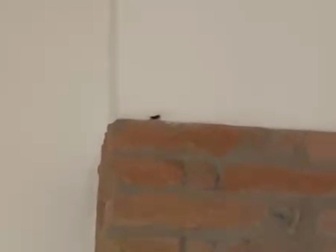 Agriturismo Sabidor主图