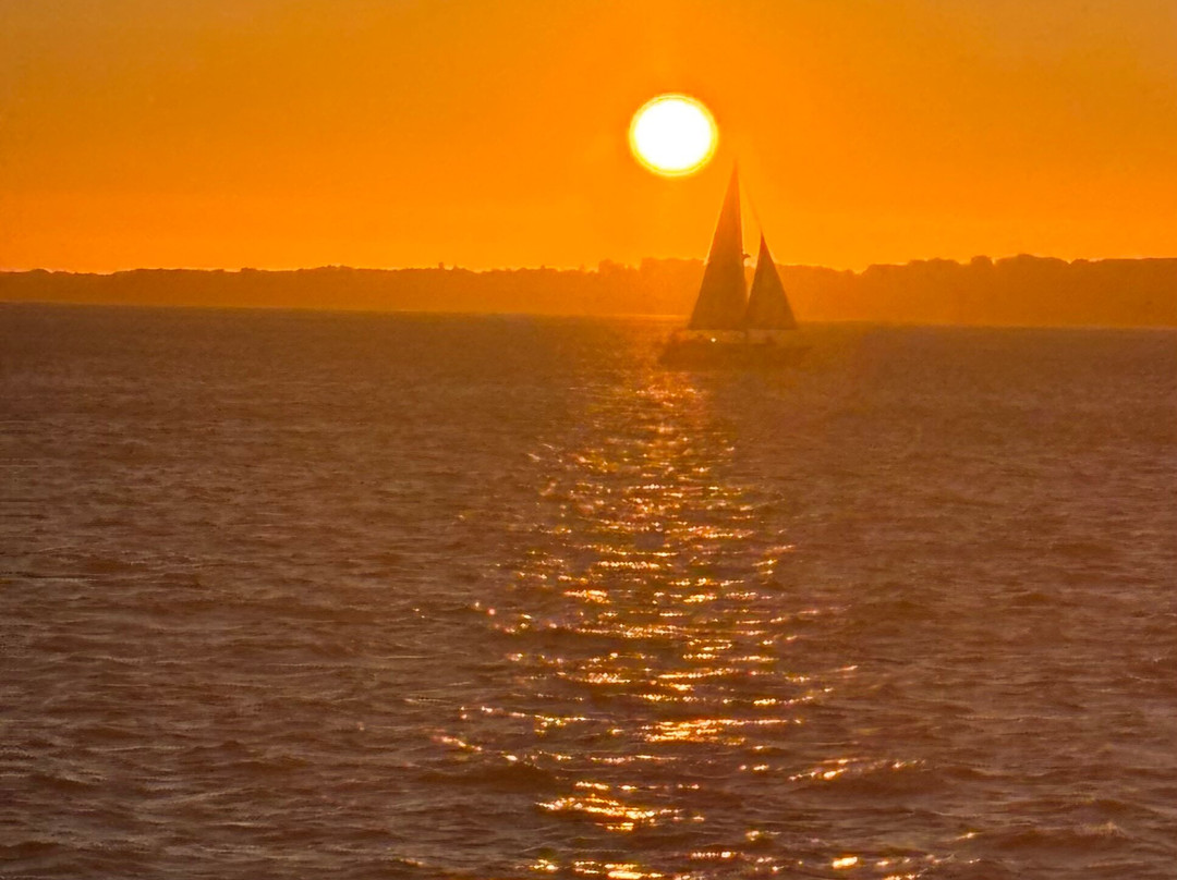 Yellow Boat Tour-里斯本必去景点