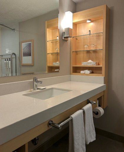 魁北克省德尔塔酒店-浴室