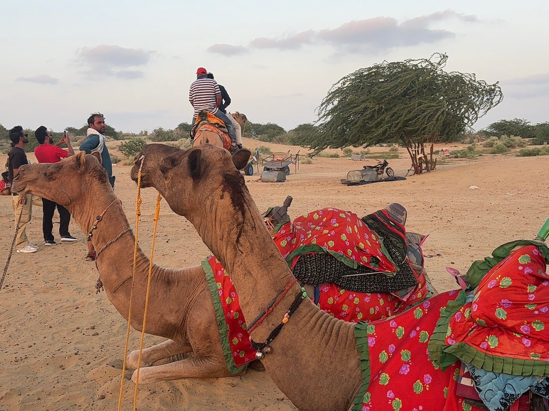 Pol Haveli Desert Safari-杰伊瑟尔梅尔必去景点
