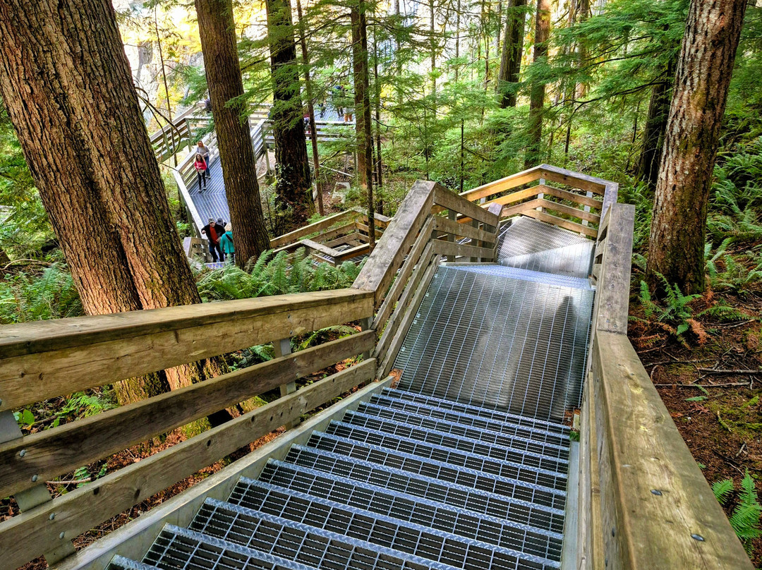 Elk Falls Suspension Bridge-坎贝尔里弗必去景点