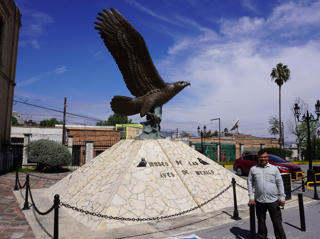 Museo de las Aves-萨尔蒂必去景点