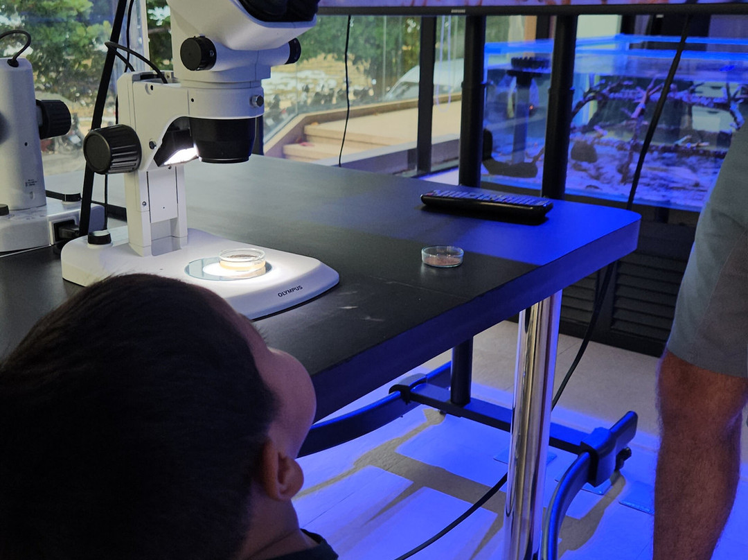Marine Biological Center - Hyatt Regency Phuket Resort-卡图必去景点