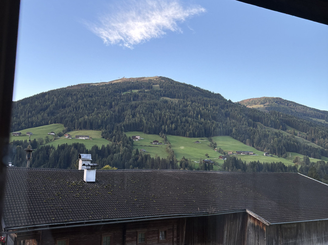 Hotel Zur Post主图