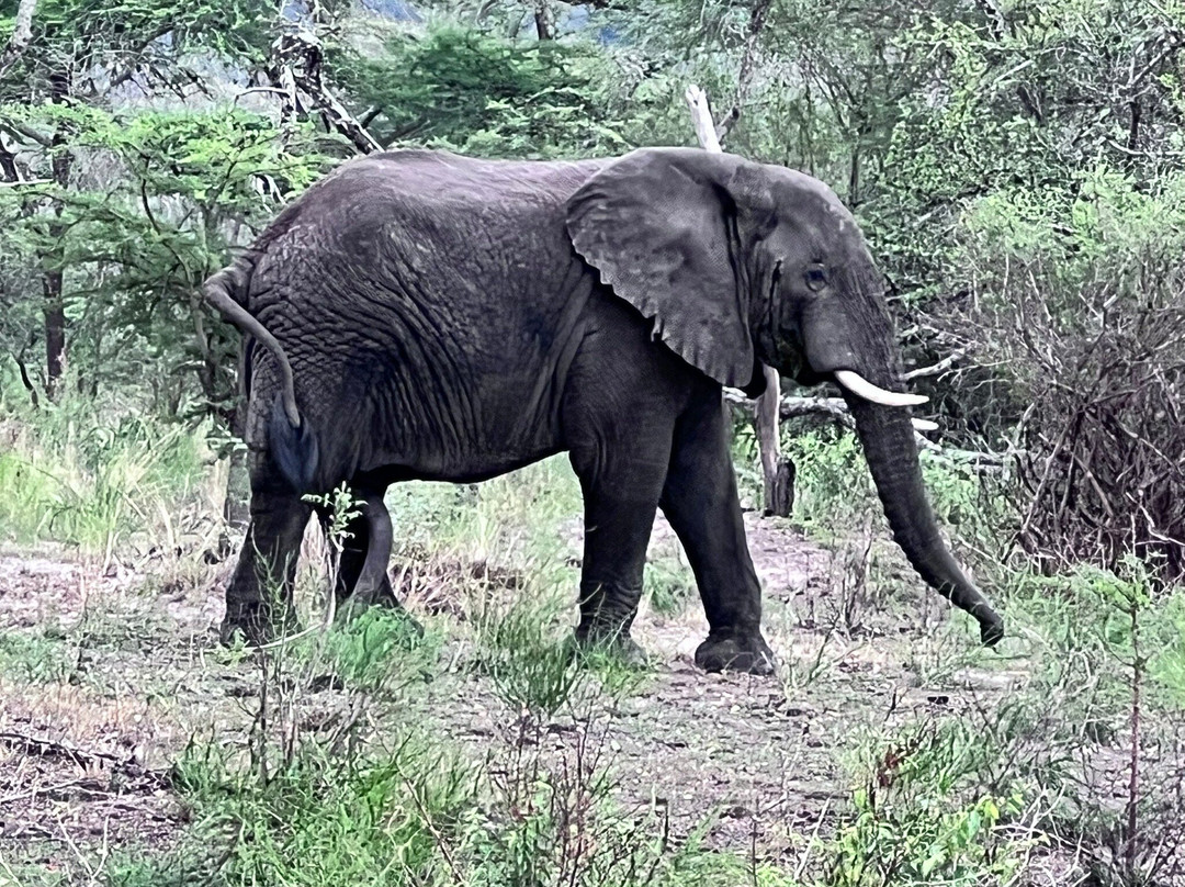 Kingfisher Journeys-吉佳利必去景点