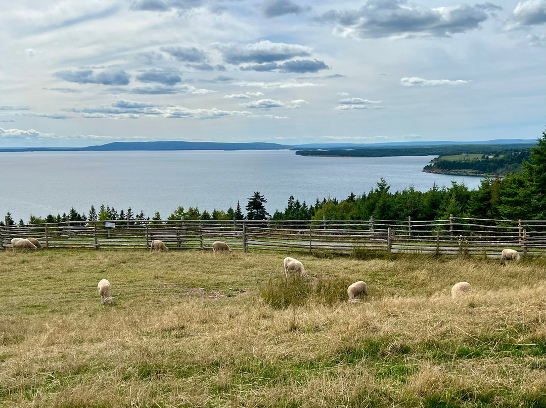 Highland Village-Iona必去景点