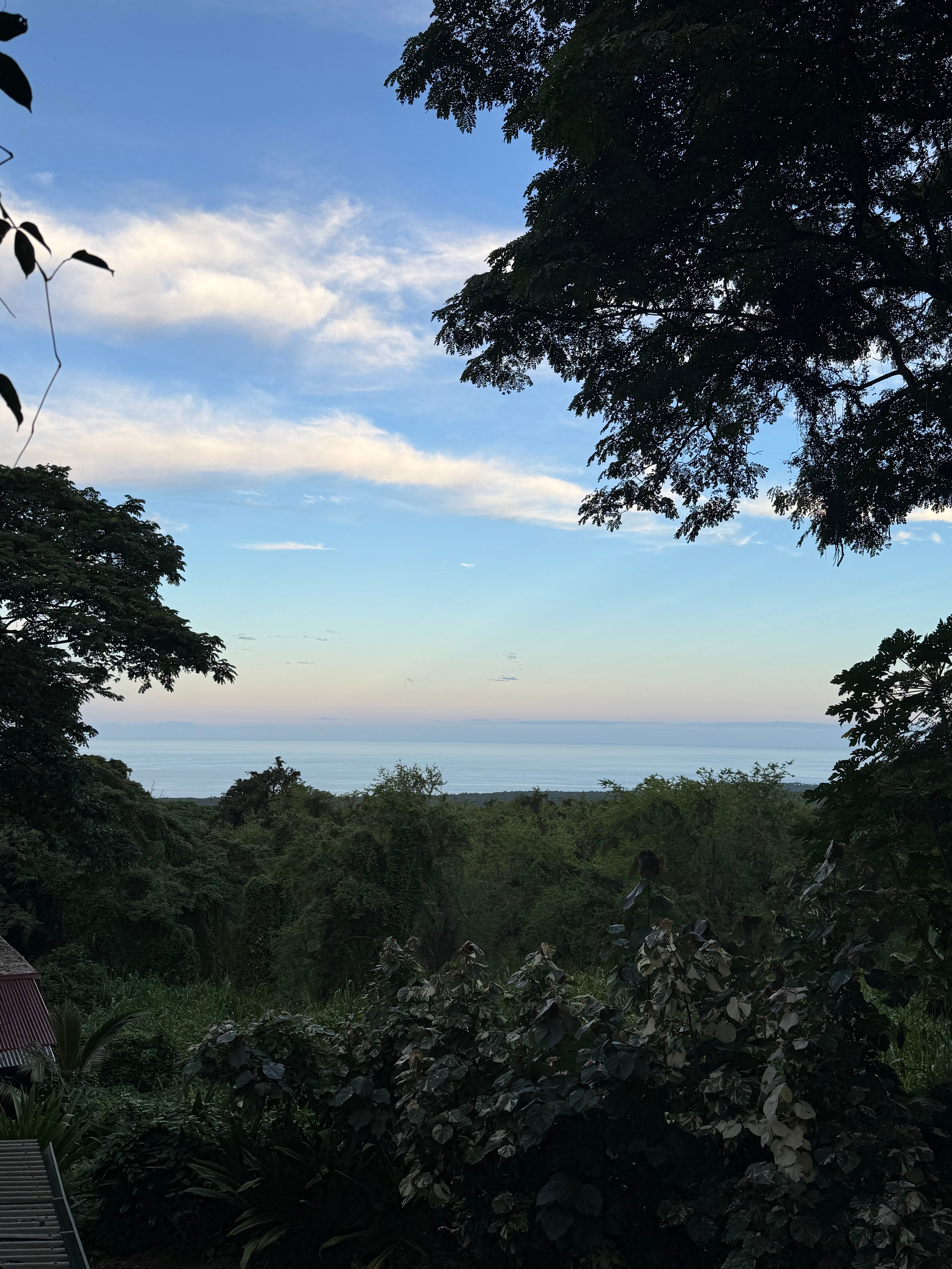 蜻蜓农场-疗伤艺术中心-酒店景观