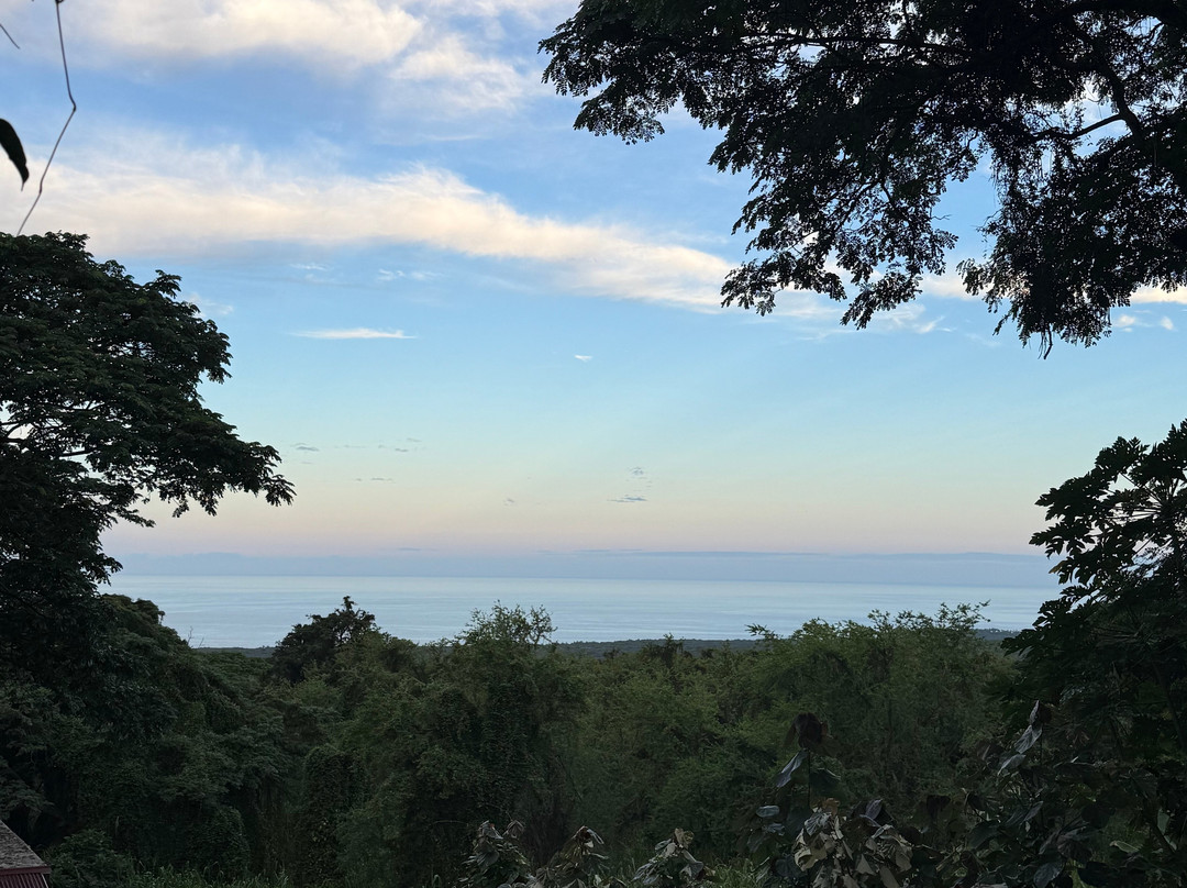 蜻蜓农场-疗伤艺术中心主图