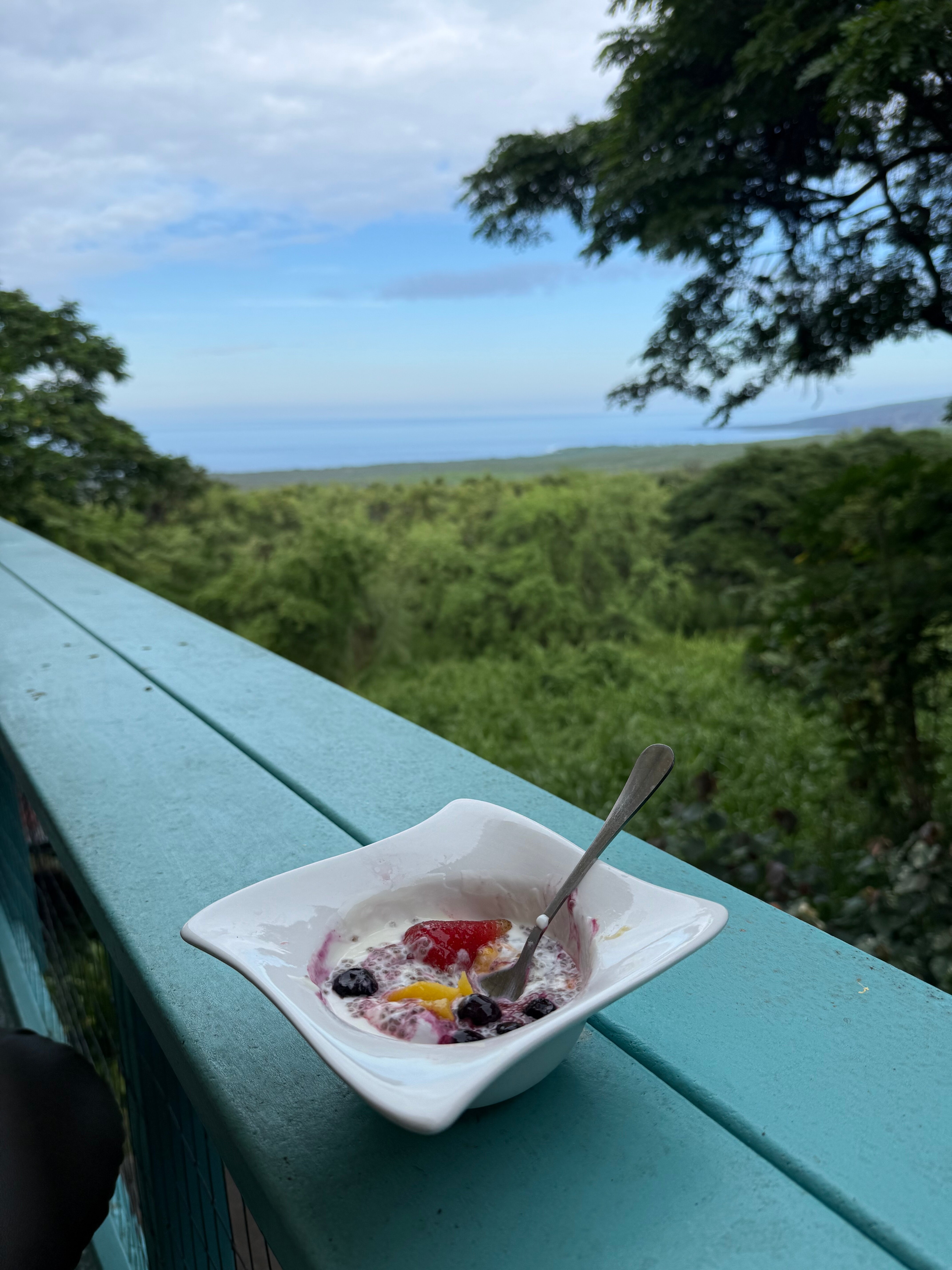 蜻蜓农场-疗伤艺术中心-官方