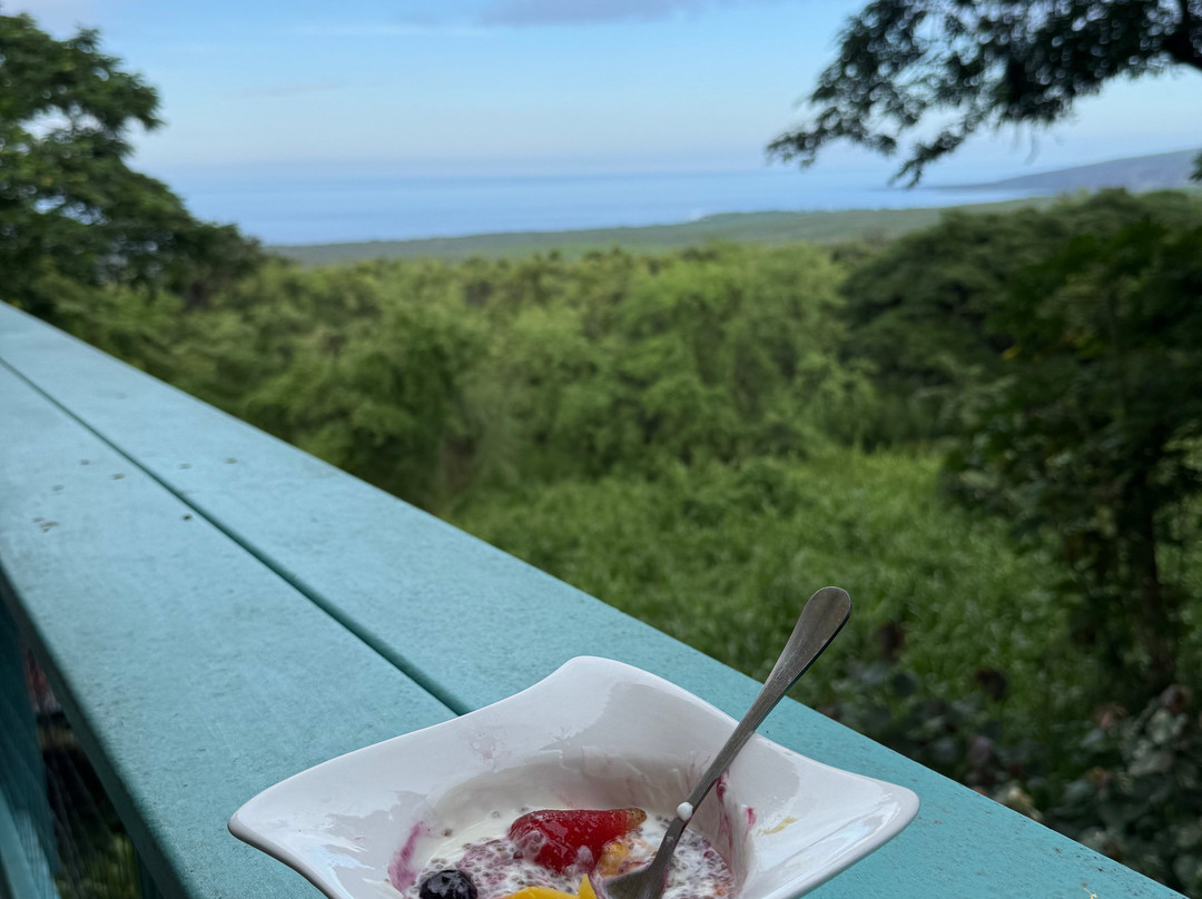 蜻蜓农场-疗伤艺术中心主图