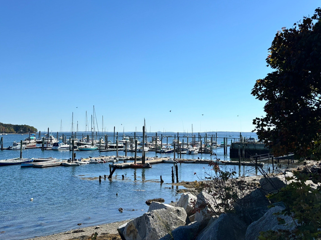 Belfast Harborwalk-贝尔法斯特必去景点