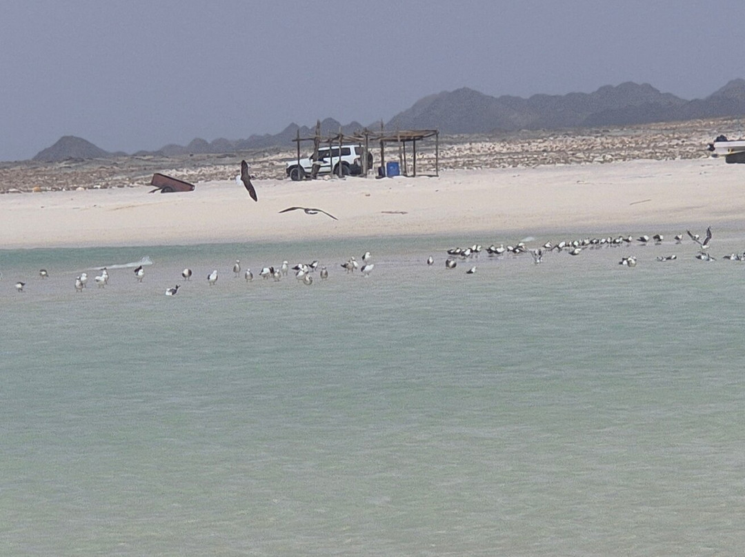 Masira Island Resort主图