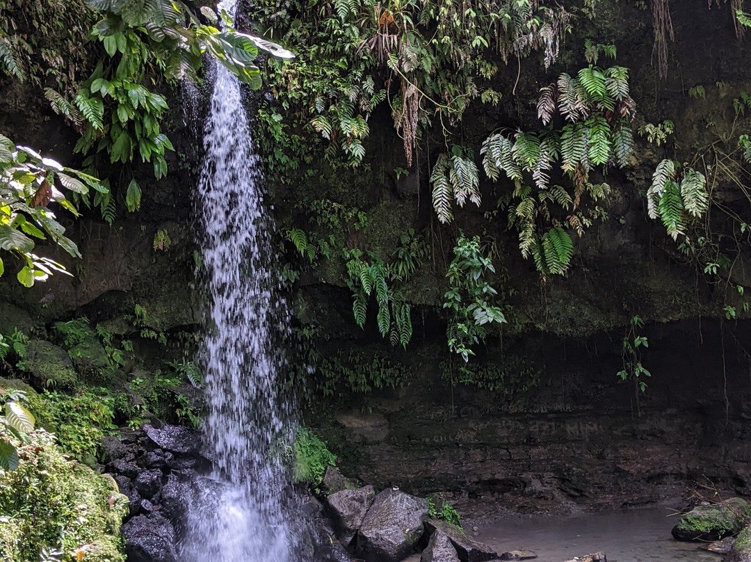 Waitukubuli Adventure Tour Co.-罗索必去景点