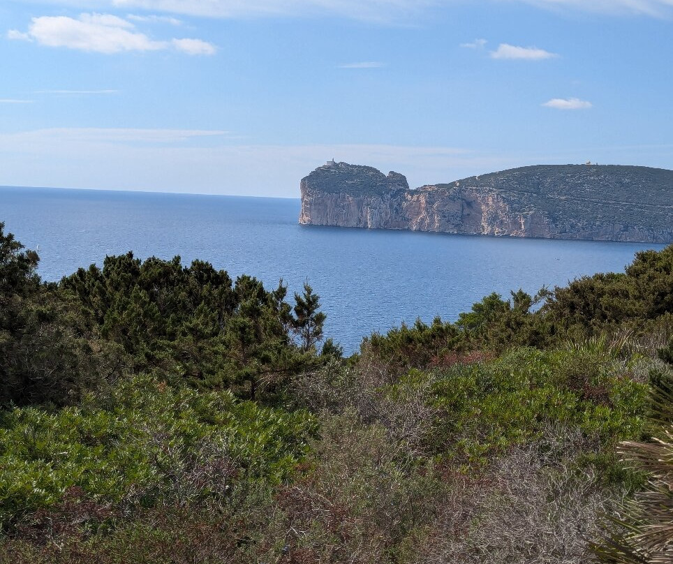 Parco di Porto Conte-阿尔盖罗必去景点