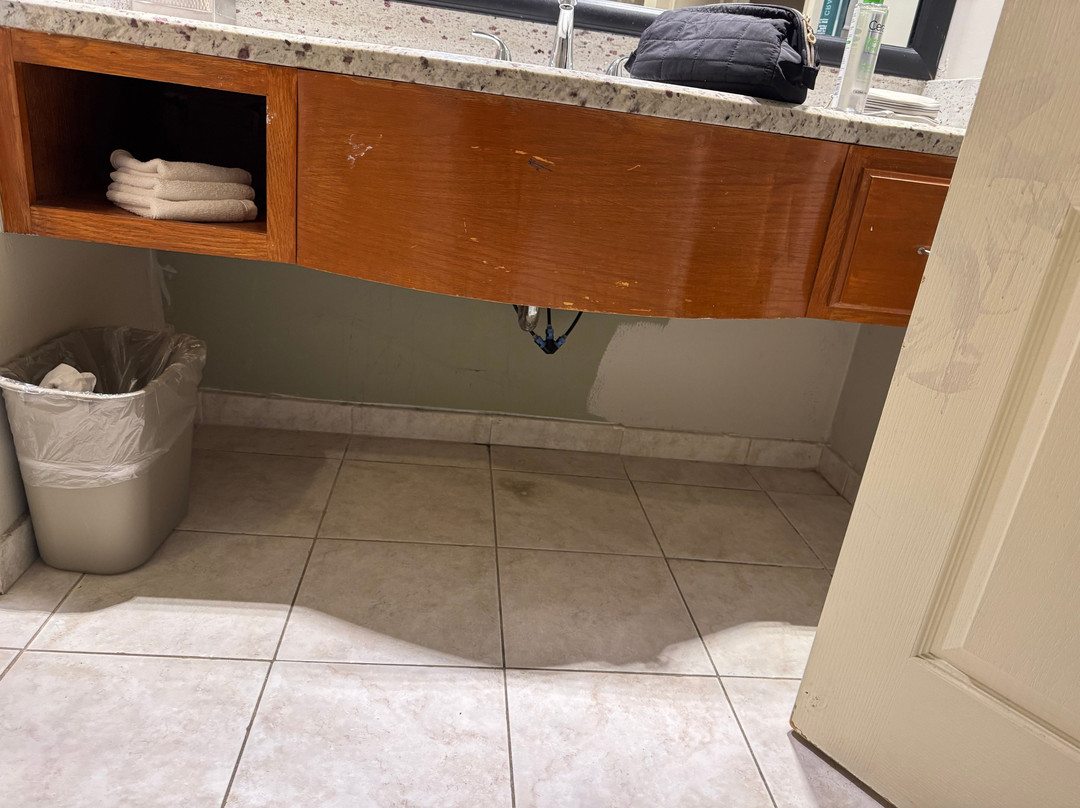 Hilton Chicago/oak Brook Suites主图