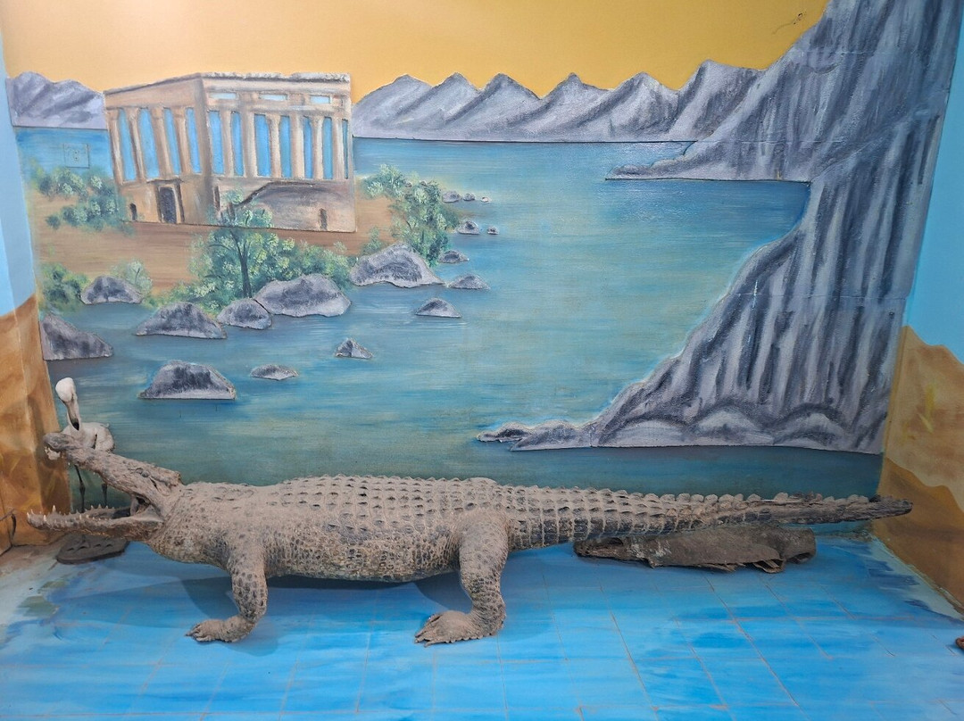 Animalia-亚斯文必去景点