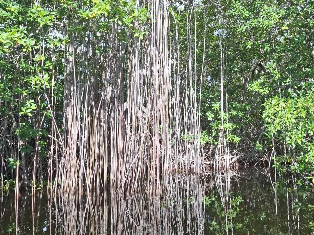 Peter Tosh Monument-内格里尔必去景点