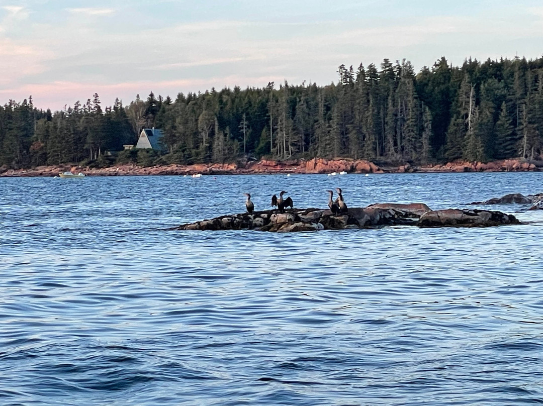 Island Cruises-Bass Harbor必去景点