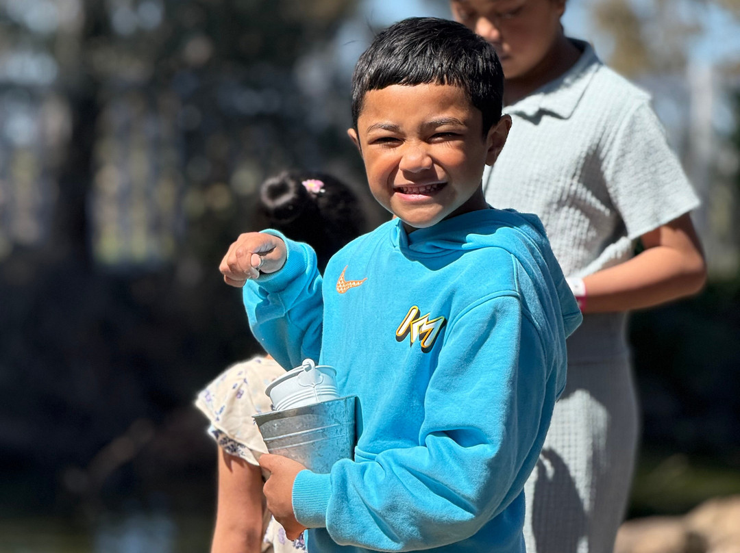 Animal Land Children's Farm-Diggers Rest必去景点