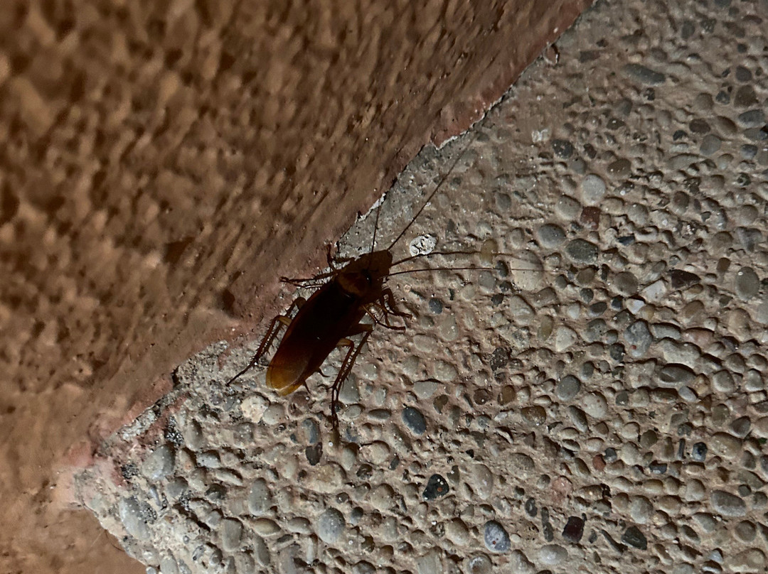 HSM Club Torre Blanca主图