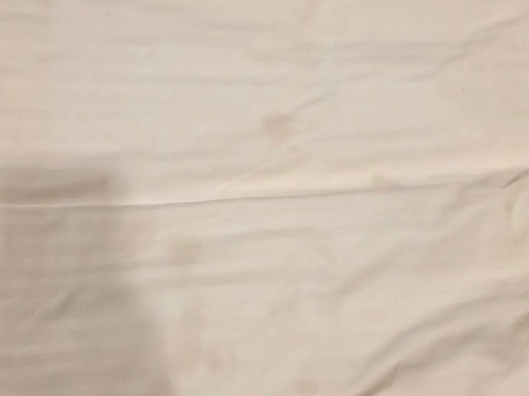 Amara Ayurveda Retreat主图