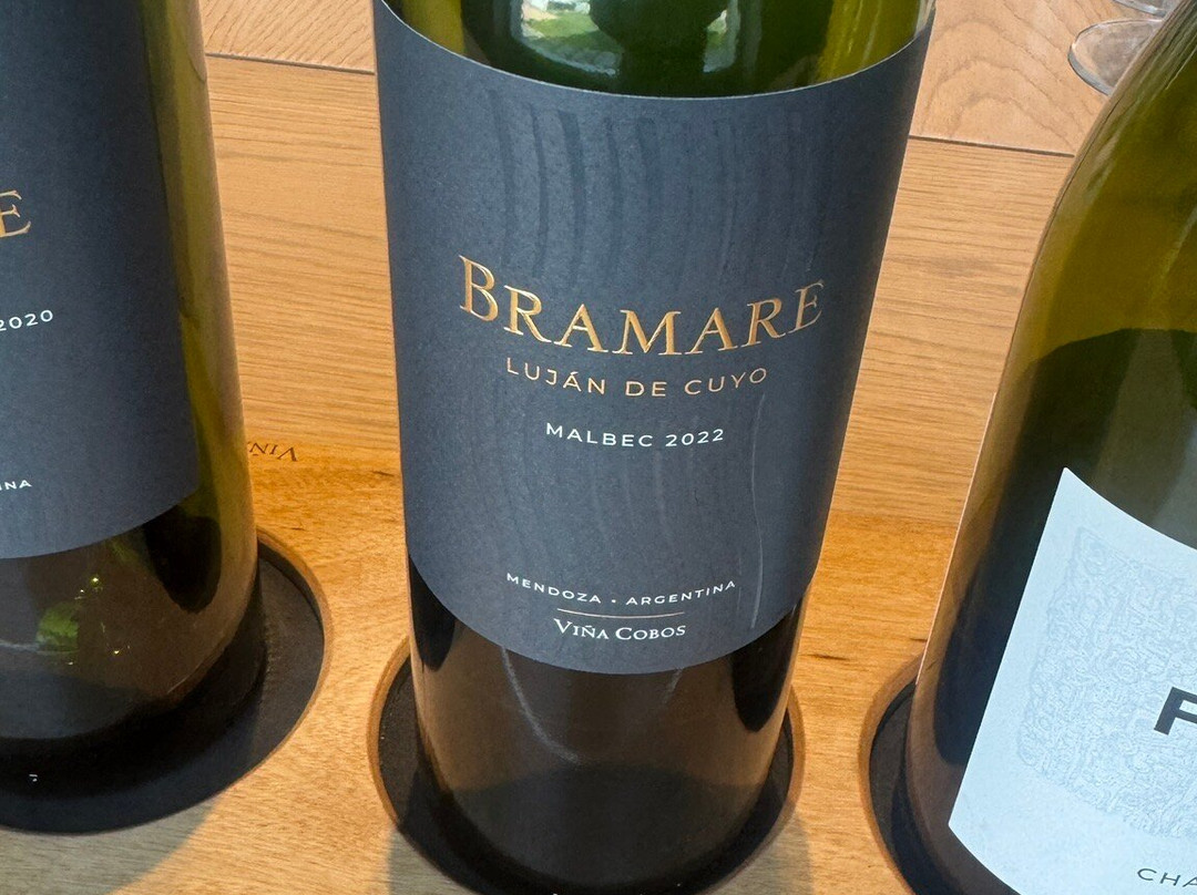 Vina Cobos-路冉得库约必去景点