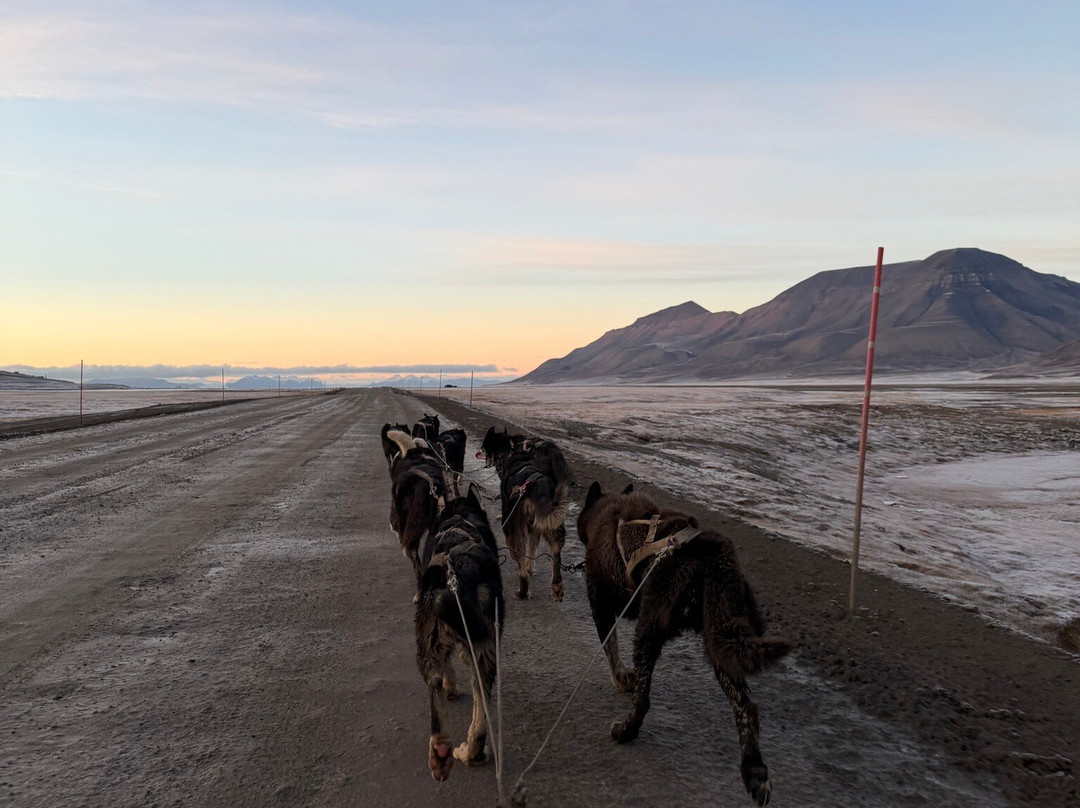 Green Dog Svalbard-朗伊尔城必去景点