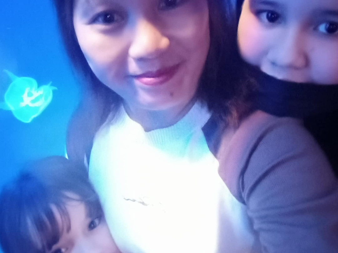 Cebu Ocean Park - Cebu-宿雾市必去景点