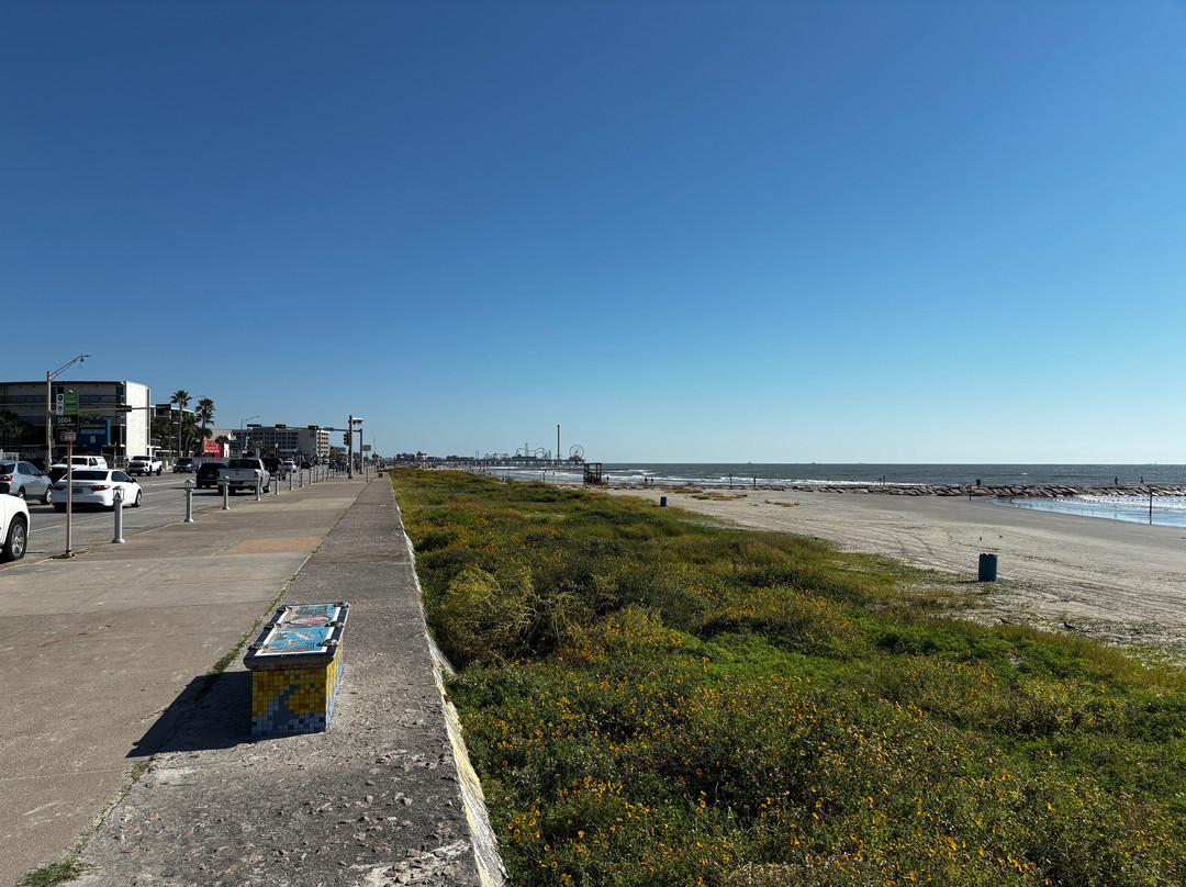 Stewart Beach-盖维斯顿必去景点