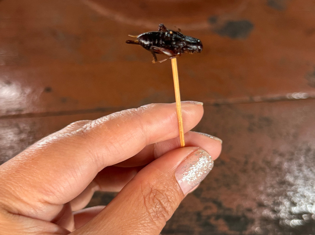 Mr. Peace's Tour Dalat-大勒必去景点