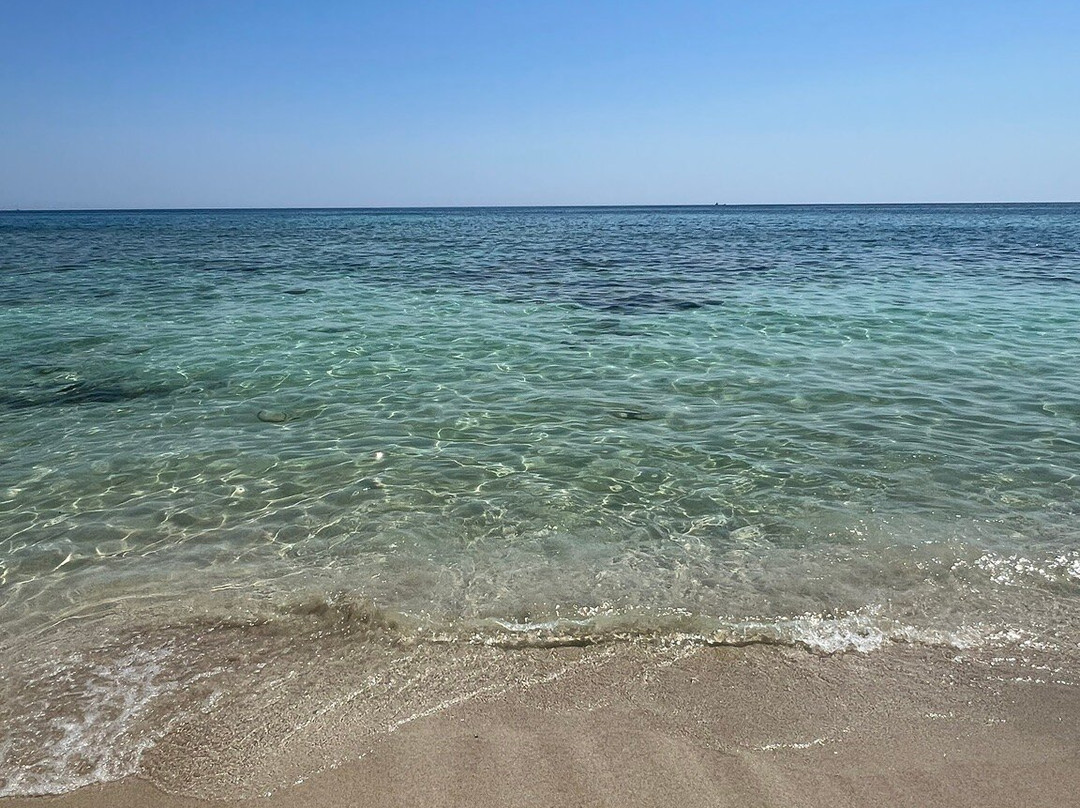 Platja de Migjorn-Migjorn必去景点