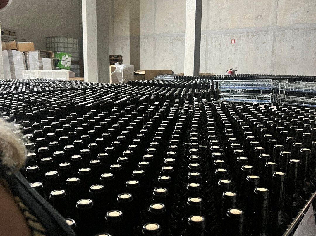 Quinta Do Canhoto-阿尔布赞拉必去景点