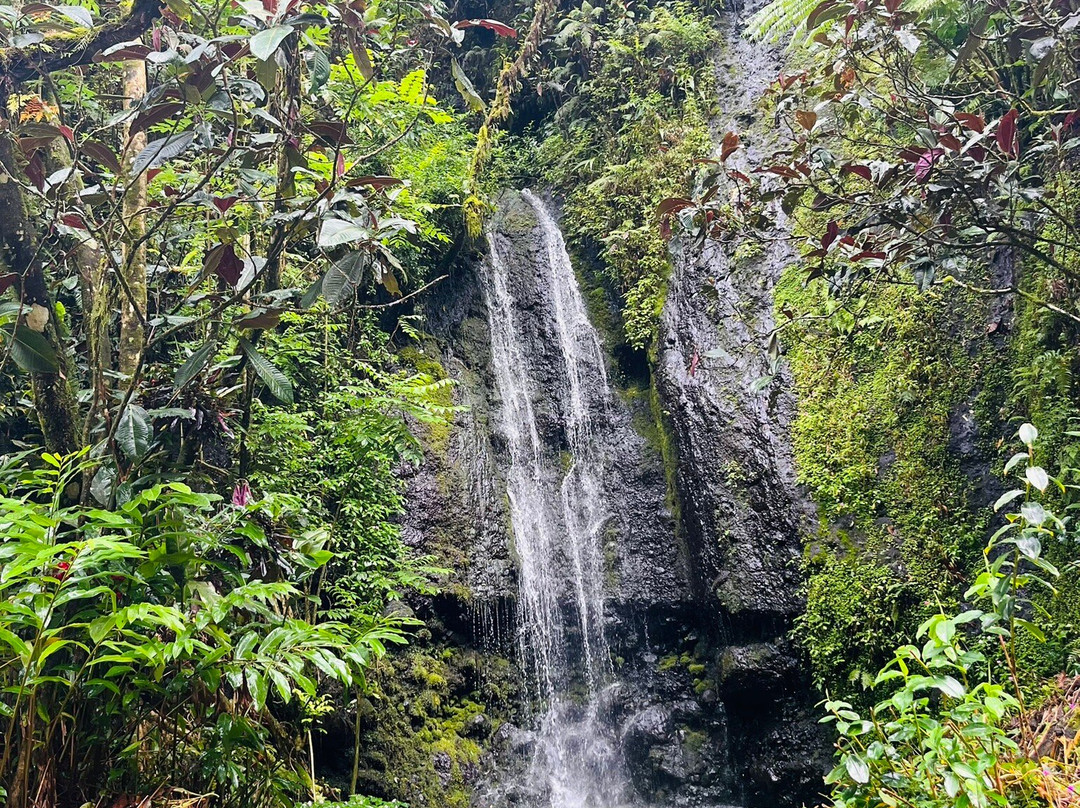 Ciao Tahiti Excursions 4x4 - Day Tours-普纳奥亚必去景点