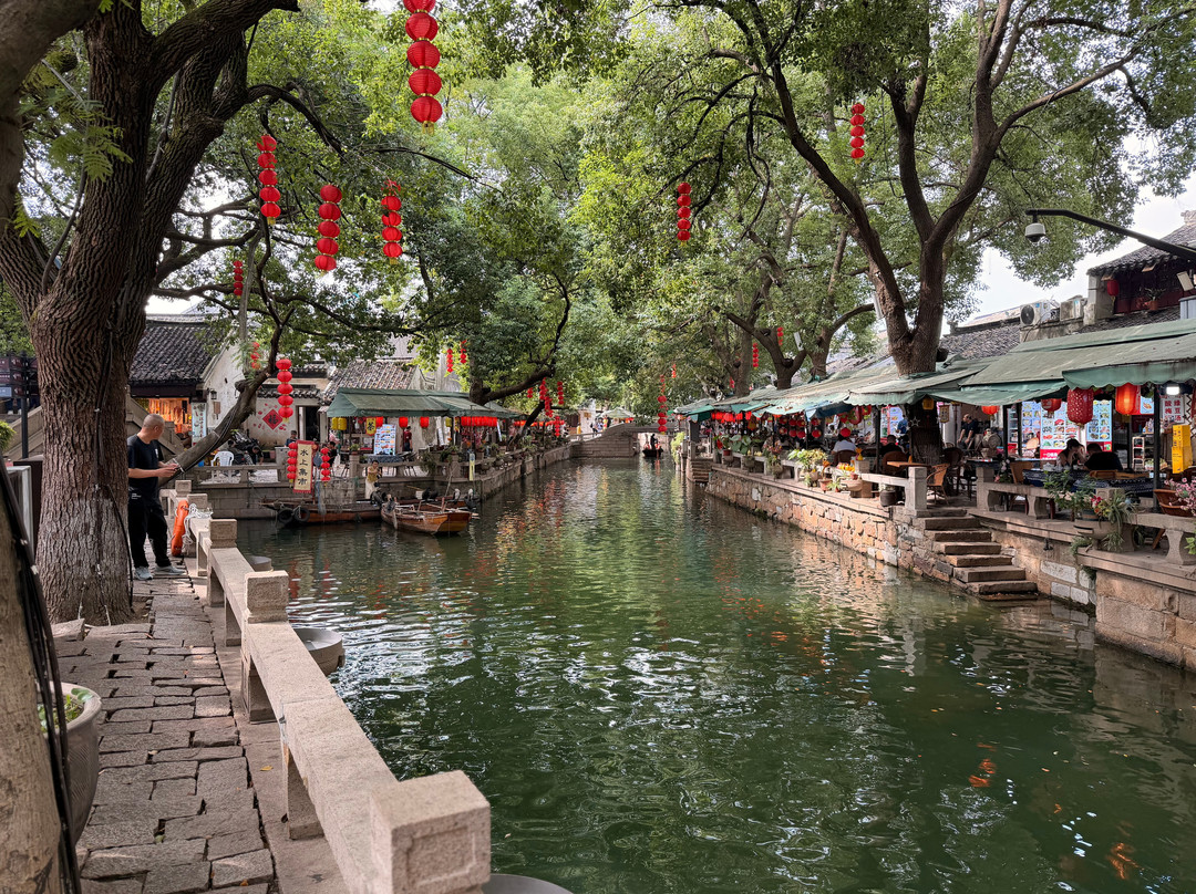 Shanghai Highlights的一日游-上海市必去景点