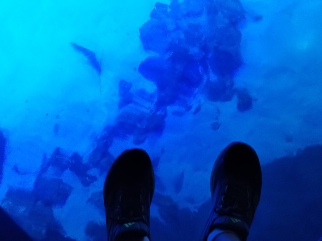 Oceanic Aquarium-康泊琉海水浴场必去景点