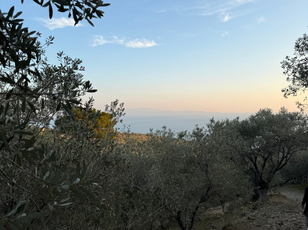 Eirini Plomariou-Plomari必去景点