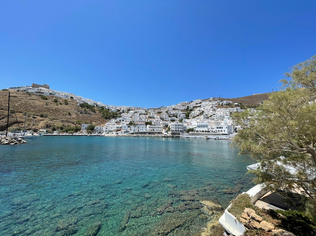 Aphrodite Studios主图