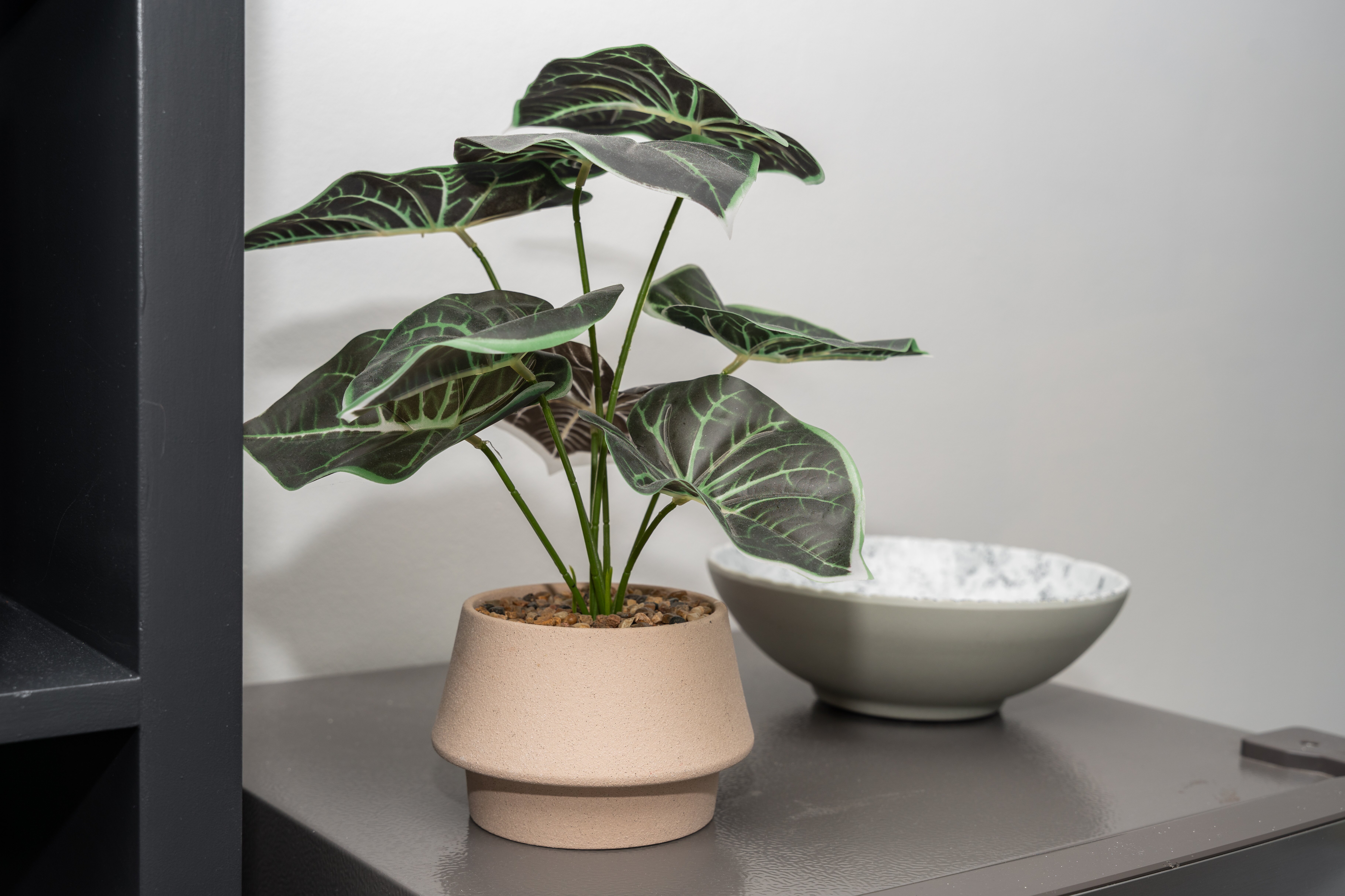 班克斯城汽车旅馆 10-官方