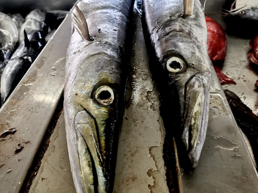 Mutrah Fish Market-马斯喀特必去景点