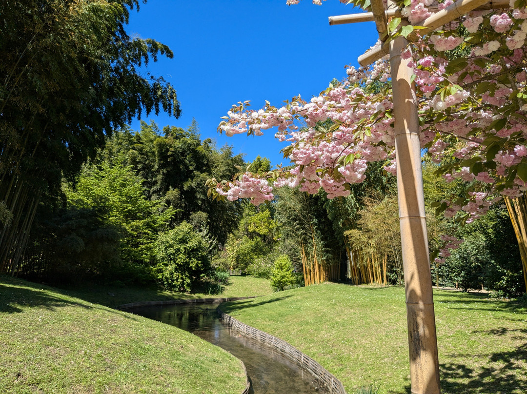 La Bambouseraie En Cévennes-Generargues必去景点