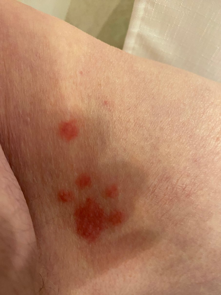 希尔顿Tru酒店-东兰卡斯特-客卧