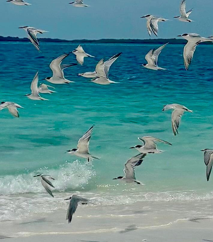 Posada Macondo主图