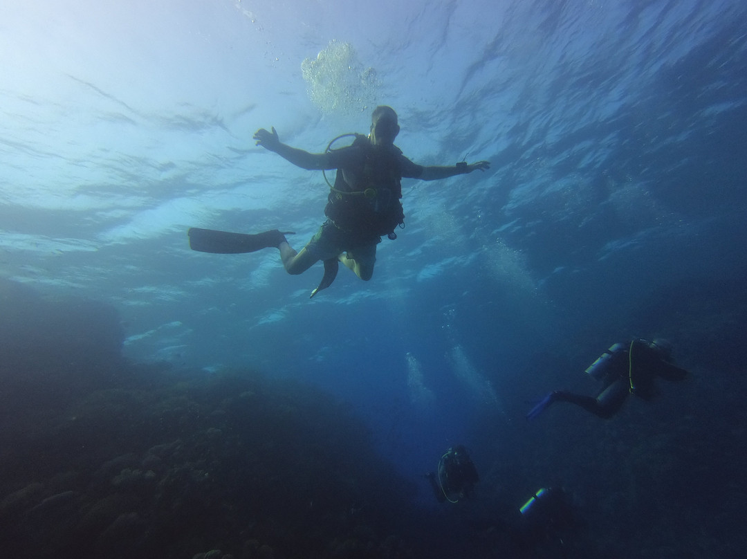 Scuba World Divers Soma Bay-艾尔可西利亚必去景点